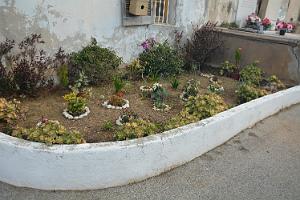 2021 03 26 LA SEYNE SUR MER HOMMAGE AUX VICTIMES DU 26 03 1962 A ALGER (10)